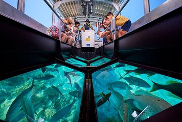 Glass Boat Tour with Snorkeling and Open Bar in Punta Cana Beach