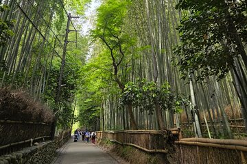 Arashiyama Half Day Tour
