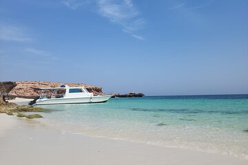 Sharing Daymaniyat Island Half Day Snorkeling