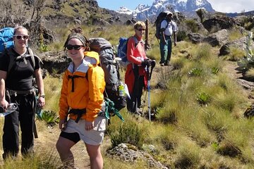 Mount Kenya National Park Full Day Hike