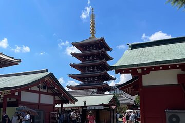 Tokyo City 1-Day Private Tour with English Speaking Driver
