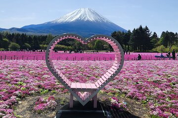 Mt Fuji Private Tour with English Speaking Driver