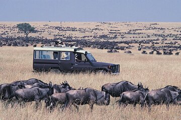 5 Days Magical Kenya Safari Private Tour
