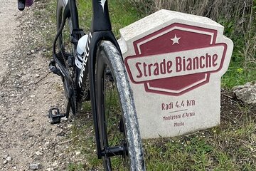 Chianti Bike Tour and Wine Tasting