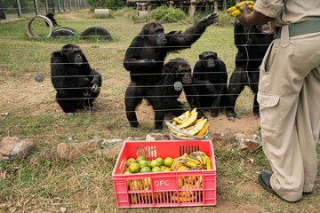 Ol Pejeta Conservancy and Chimpanzee Sanctuary Day Tour