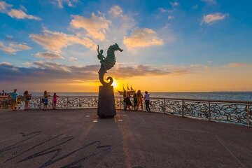 Puerto Vallarta City Night Tour
