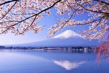 1 Day Trip to Mt. Fuji and in Five Lakes around the area 
