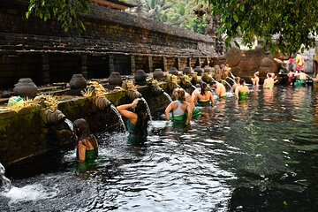 Ubud Day Tour