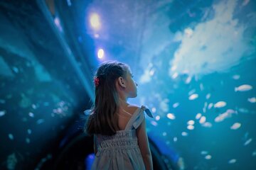 Aquaria Phuket Tickets and 4D Trickeye Museum Combo Deal