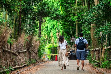Kyoto Guided Tour of Bamboo Forest, Temple and more