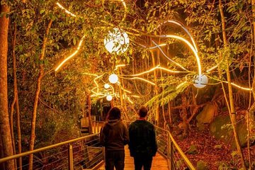 Blue Mountains private tour -Scenic World night Nocturnal limited