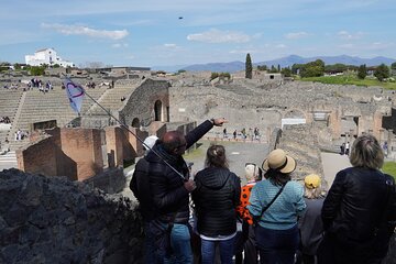 Sorrento & Pompeii Guided Day Trip from Rome with Optional Pickup