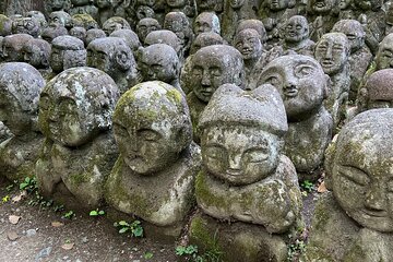 Kyoto: Arashiyama Private Tour of Nature, Temples and Tradition