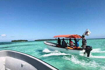 Zanzibar Dolphin Watching and Snorkeling Adventure with Transfer