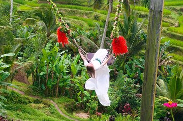 Ubud: Monkey Forest, Jungle Swing, Rice Terrace, Tample, Coffee