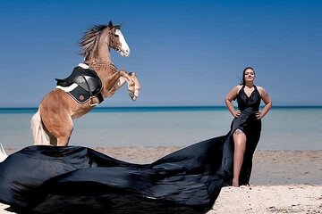Horse Riding Tour 2 Hours Sea & Desert With Transfer - Hurghada
