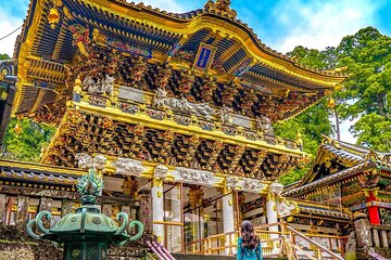 Tokyo Fuji Nikko Kamakura Private Tour