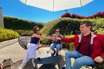 Champagne Region Luxury Picnic Tour with Tastings