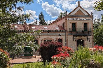 Paella, Olive Oil, Wine & Relax in Rural Estate outside Madrid