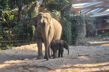 Zurich Zoo Tour with Transportation Included
