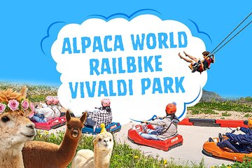 Alpaca World, Railbike and Vivaldi Park Experiences from Seoul