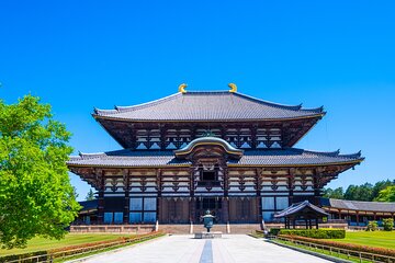 Ancient Capital Tour: Kyoto and Nara Highlights from Kyoto/Osaka