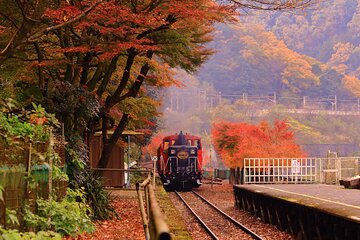 Sagano Romantic Train & Arashiyama, Kiyomizudera, Fushimi Inari Taisha Day Tour