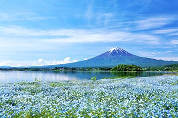 Discover Mt. Fuji 5th Station & Kawaguchiko Sightseeing Day Tour