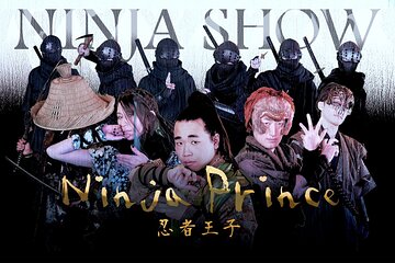 Ninja Show in Osaka's Namba