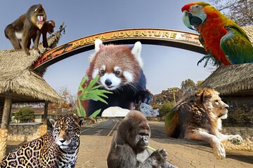  Seoul Grand Park Ticket and Transportation Package