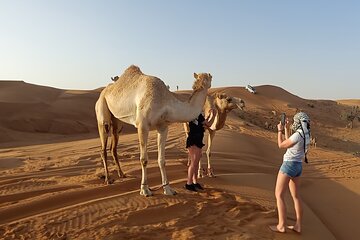 Dubai Morning Desert Adventure with Dune Bashing and Camel Ride