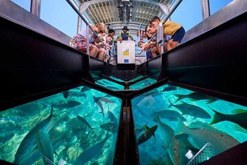 1-Hour Glass-Boat with Private Transfers from Sharm El Sheikh