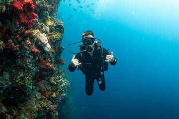Full Day Diving Sea Trip with Lunch & Transfers - Sharm El Sheikh