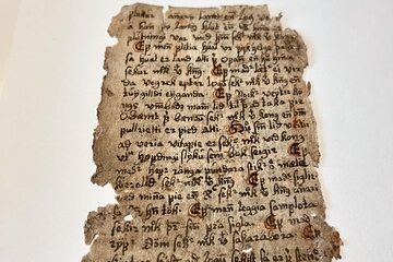 Old Icelandic Books Experience