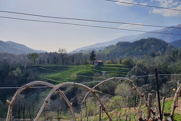 Hills of Prosecco Conegliano Valdobbiadene Wine Tour