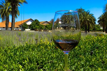 Half Day Santa Rita Vineyard Tour