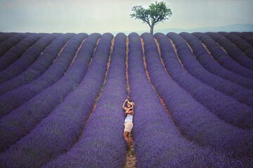 Aix en Provence: Lavender Fields & L’Occitane Factory