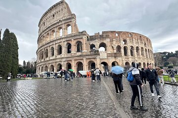 Full Experiance Guided Tour Colosseum Arena Floor, Forum & Hill
