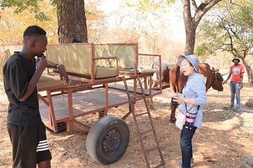 Monde Village Victoria Falls Tour 