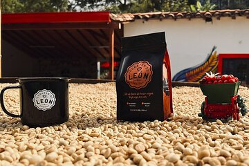 Tour del Café – Finca Corazón de León