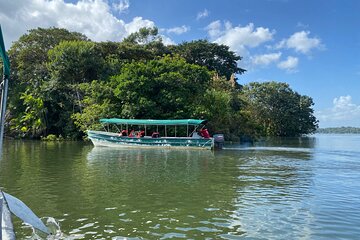 Live nature: monkey island and ecological adventures in Panama 