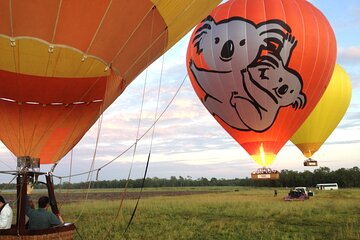 Cairns Classic Hot Air Balloon Ochre