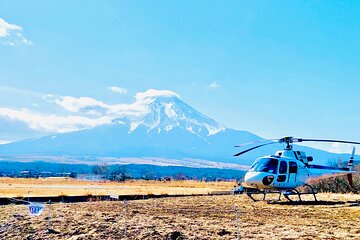 Private Mount Fuji Tour from Tokyo with VIP Car and English Guide