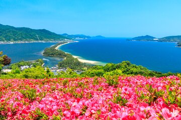 Explore Amanohashidate & Ine Bay: Day Tour from Osaka