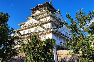 100% Personalized Private Osaka Tour with a Local Student Guide