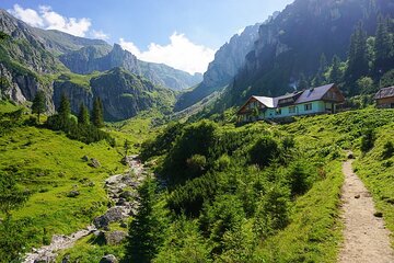 Guided One Night Hike to Mălăiești Cabin with Bucharest Transfer