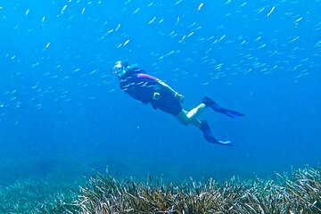 Snorkeling Adventure with guide at Cap de Formentor