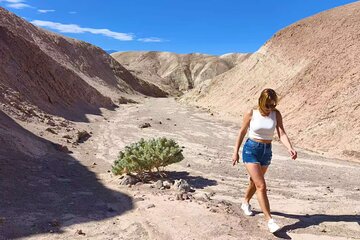 From Las Vegas Full Day Death Valley Group Tour