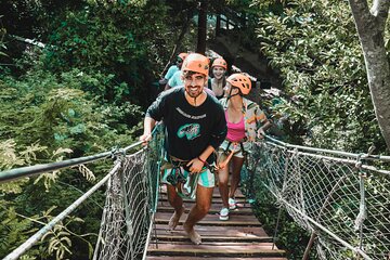 Turtle Snorkeling Jungle Adventure + Zipline and Rappel in Cenote