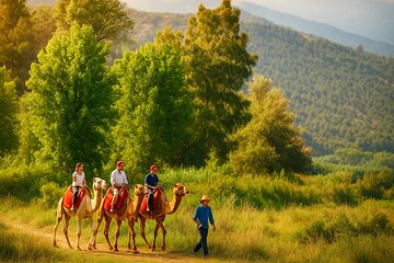 Atlas Mountains Day trips & 3 valleys with Camel ride